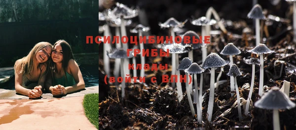 МДПВ Краснослободск