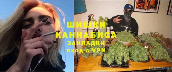 МДПВ Краснослободск