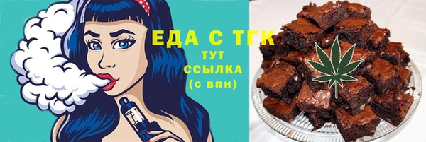 МДПВ Краснослободск